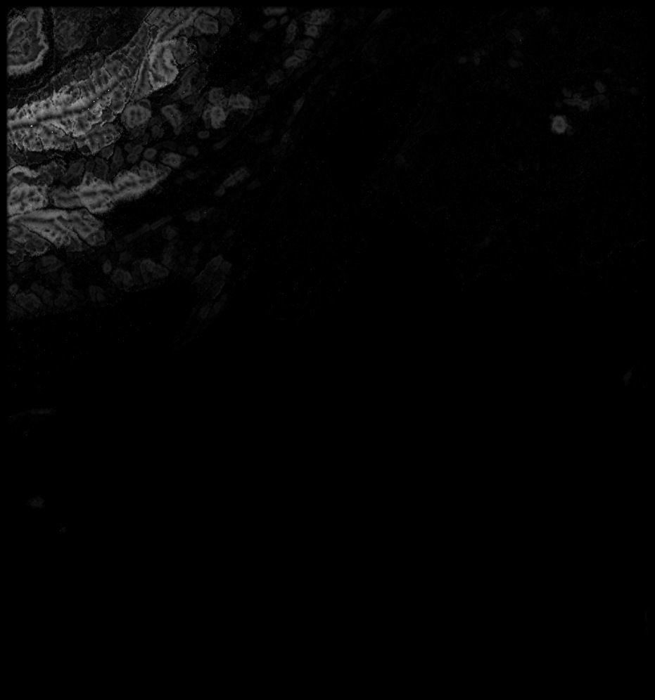 VietNam High resolution 27k thickness map Texture_4