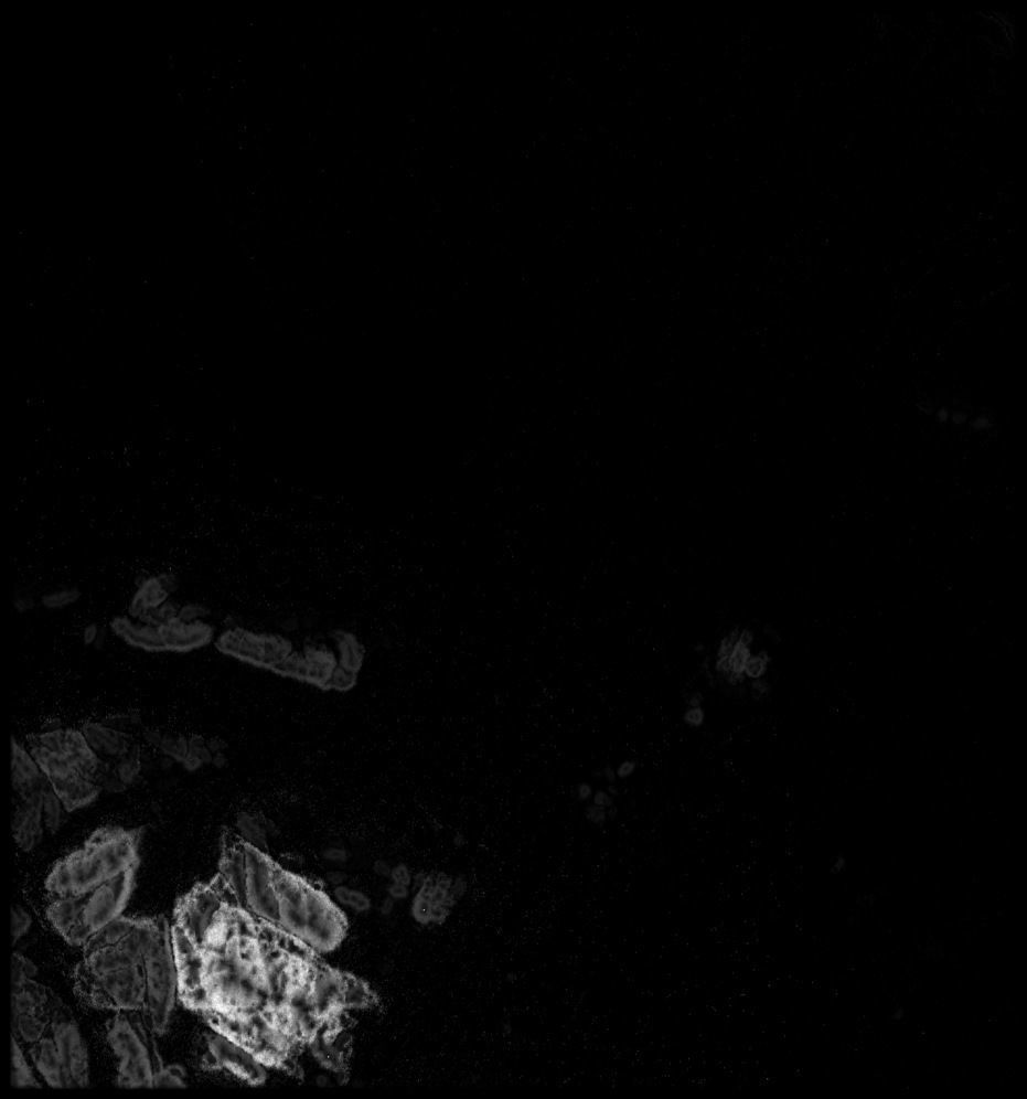 VietNam High resolution 27k thickness map Texture_1