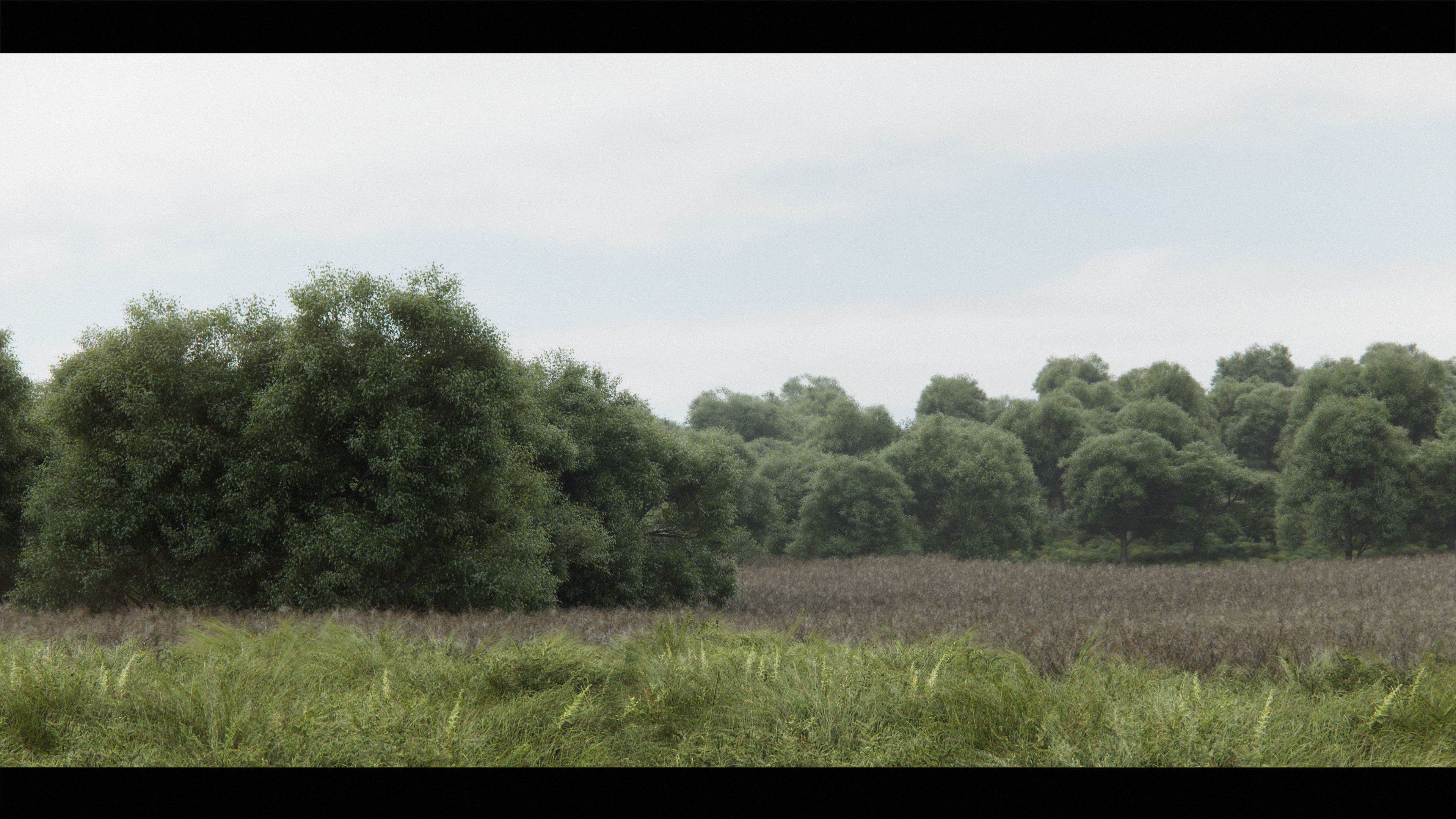 Harry Potter Burrow Weasley Car Environment Quidditch House Low-poly 3D model_23