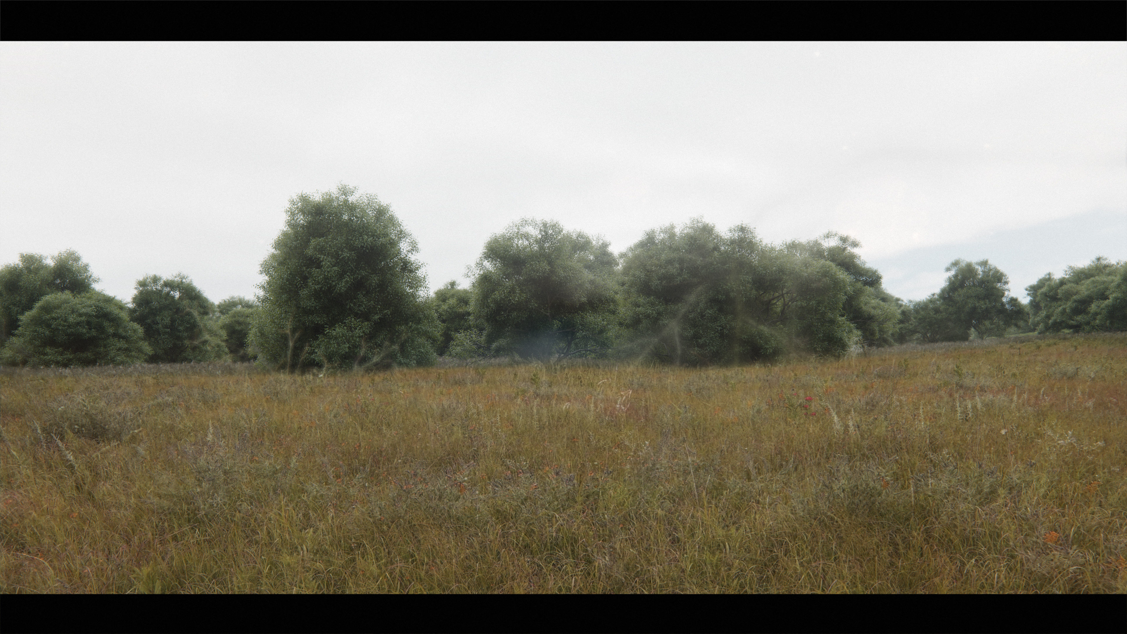 Harry Potter Burrow Weasley Car Environment Quidditch House Low-poly 3D model_24