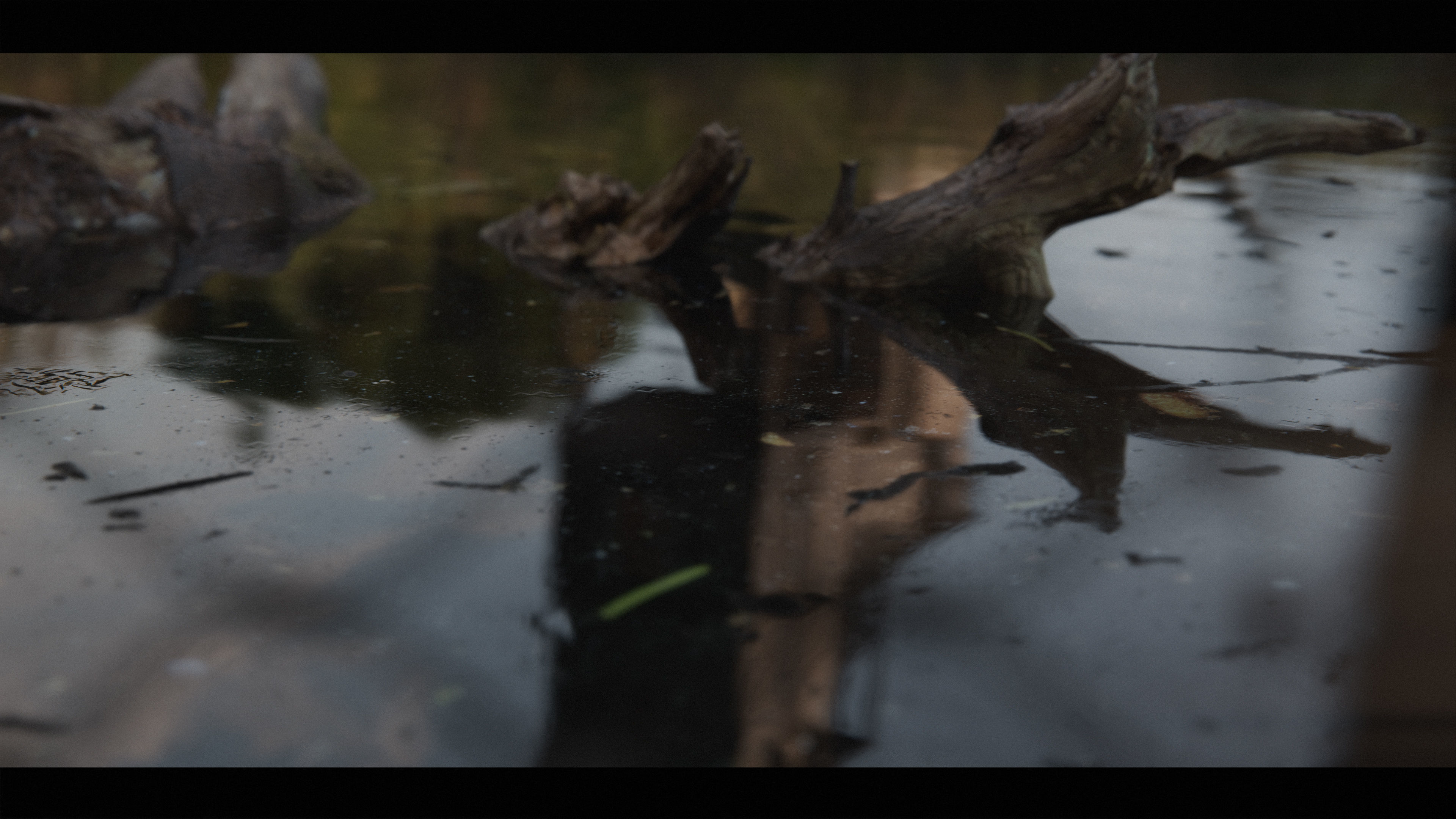 Harry Potter Burrow Weasley Car Environment Quidditch House Low-poly 3D model_35