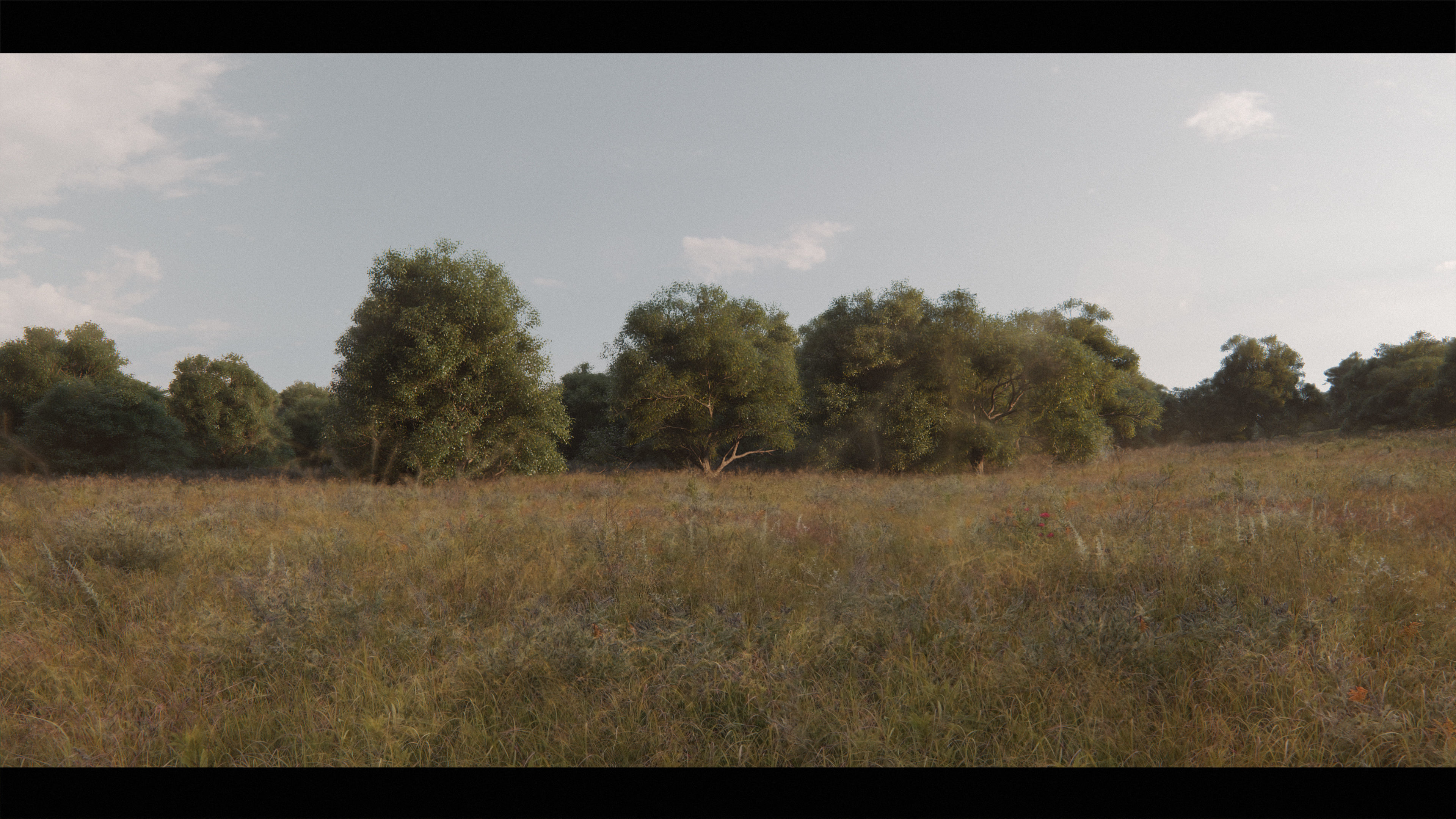 Harry Potter Burrow Weasley Car Environment Quidditch House Low-poly 3D model_39