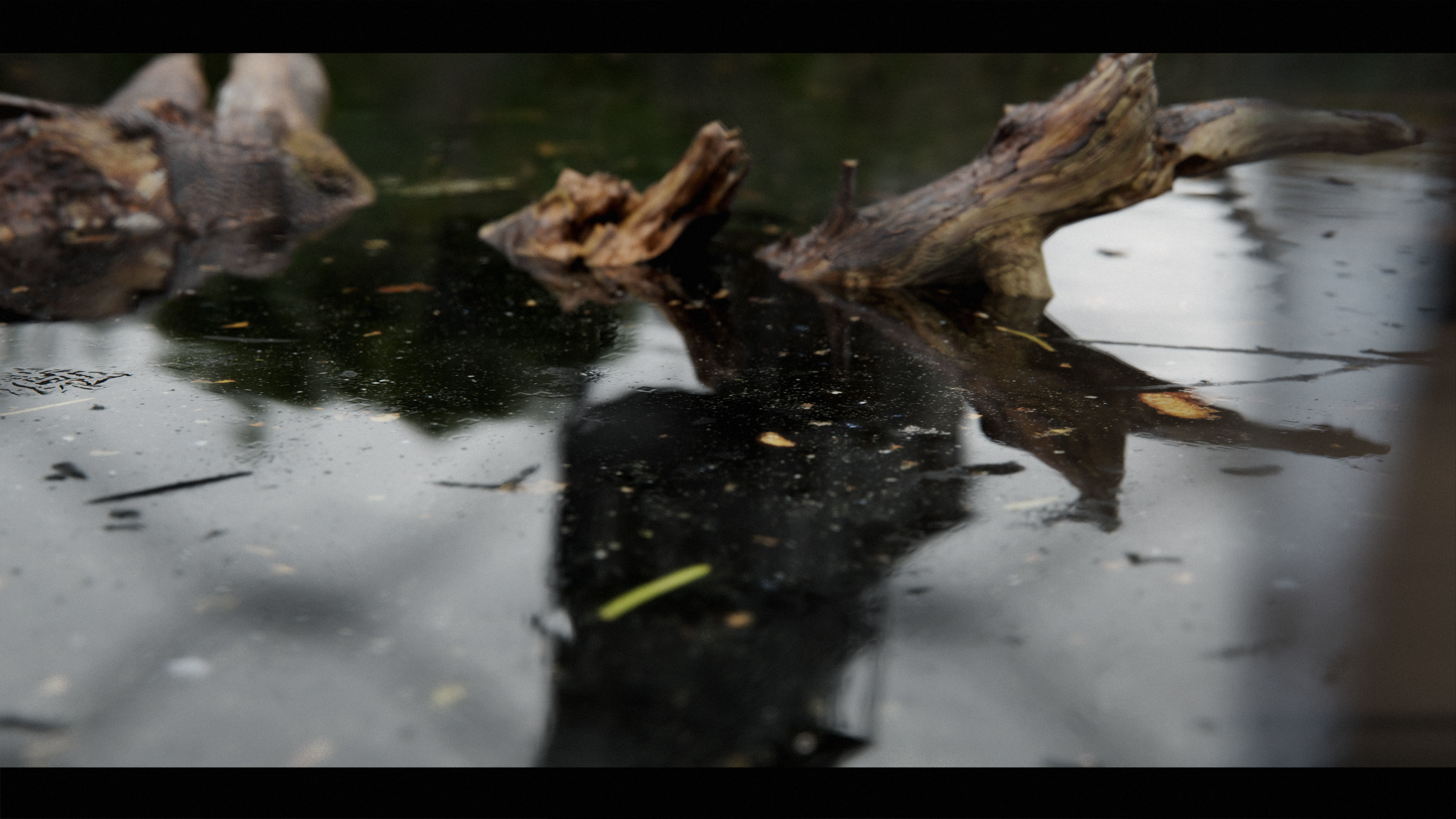 Harry Potter Burrow Weasley Car Environment Quidditch House Low-poly 3D model_15