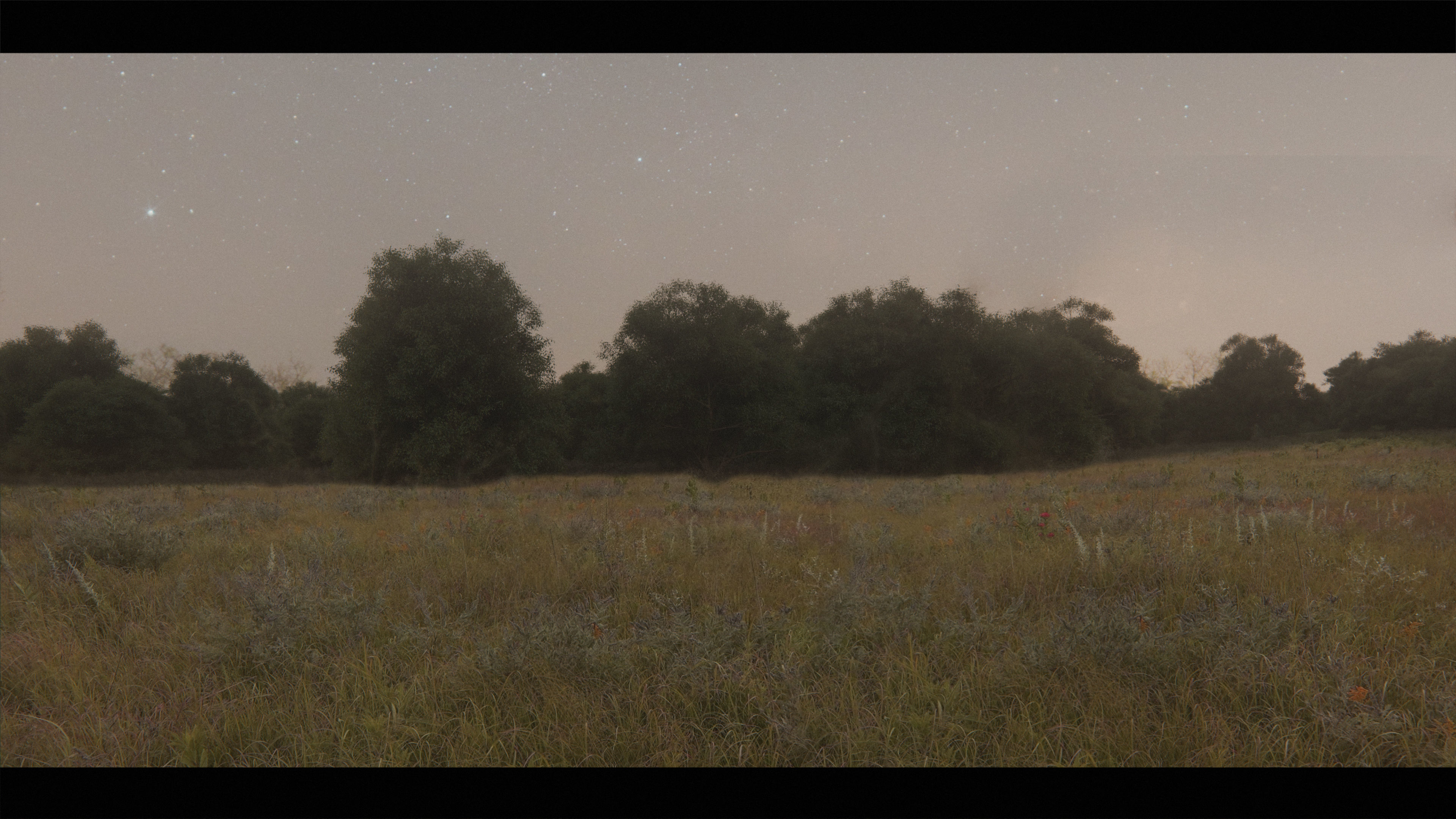 Harry Potter Burrow Weasley Car Environment Quidditch House Low-poly 3D model_25