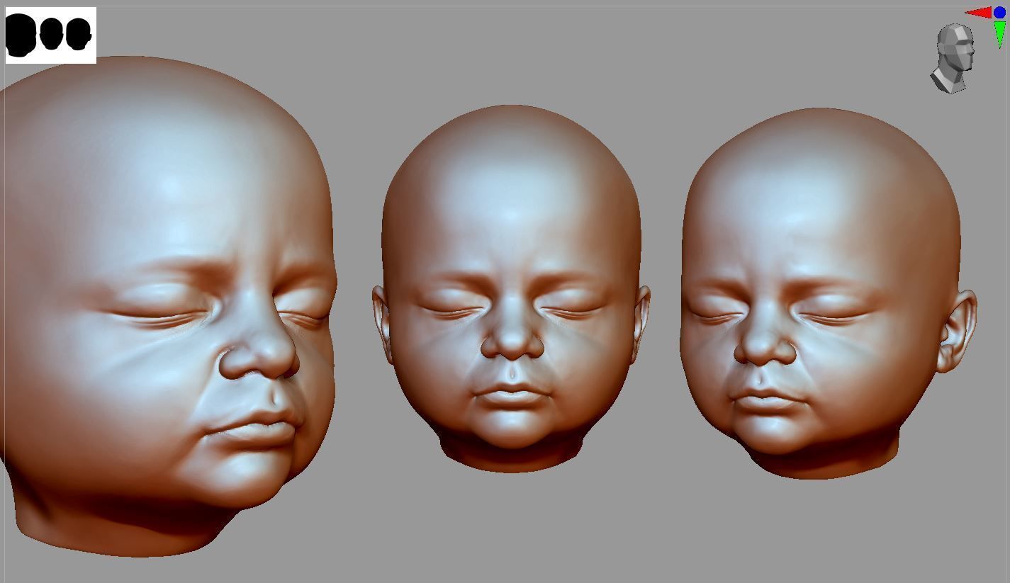 Fetus Head 3d model low-poly and highpoly 3D print model_4