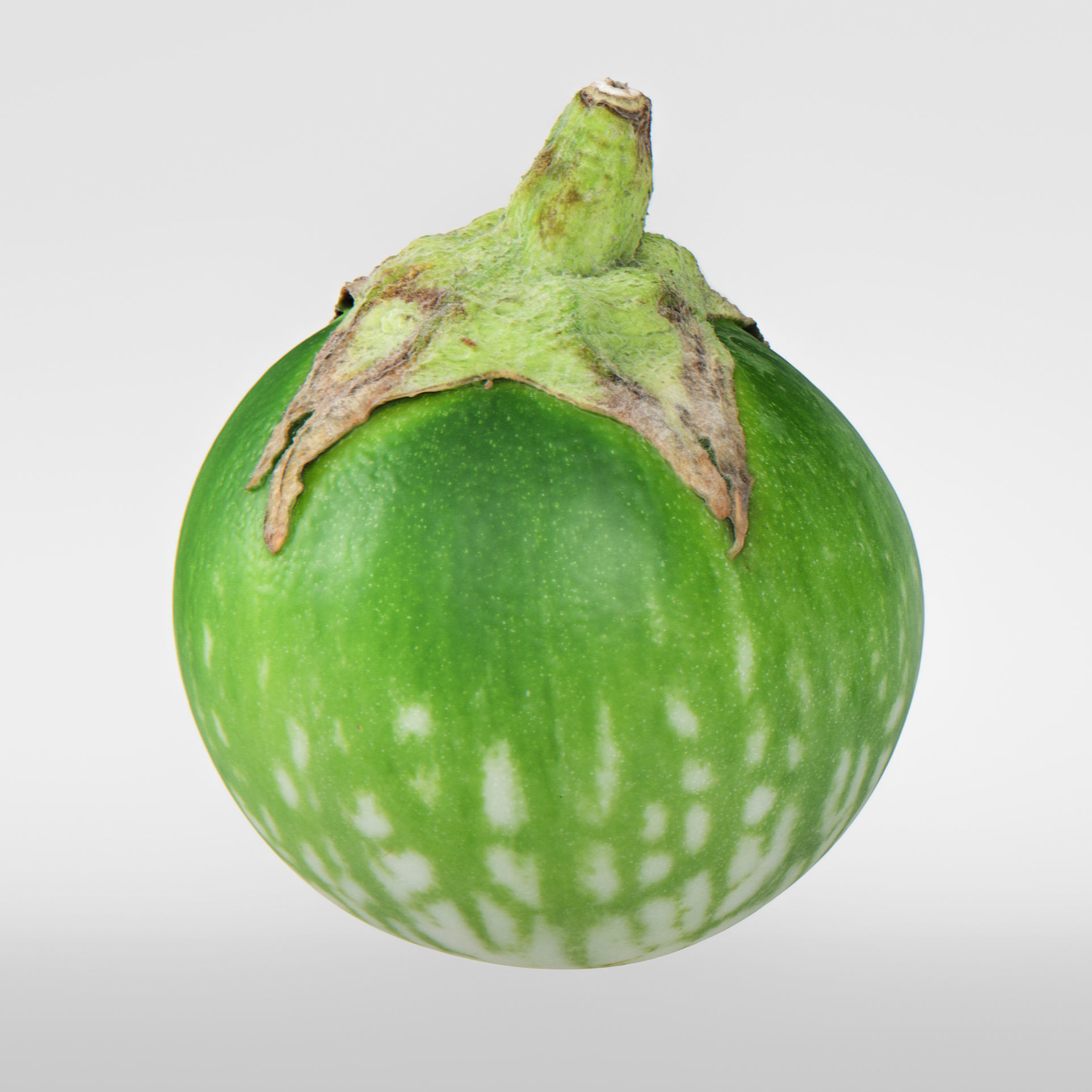 Eggplant 3D model_5
