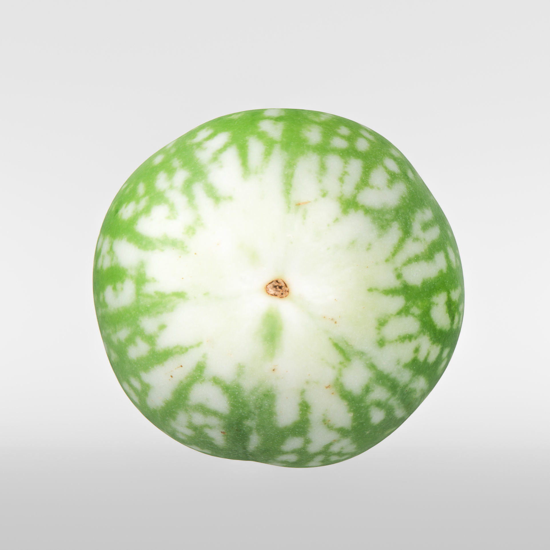 Eggplant 3D model_6