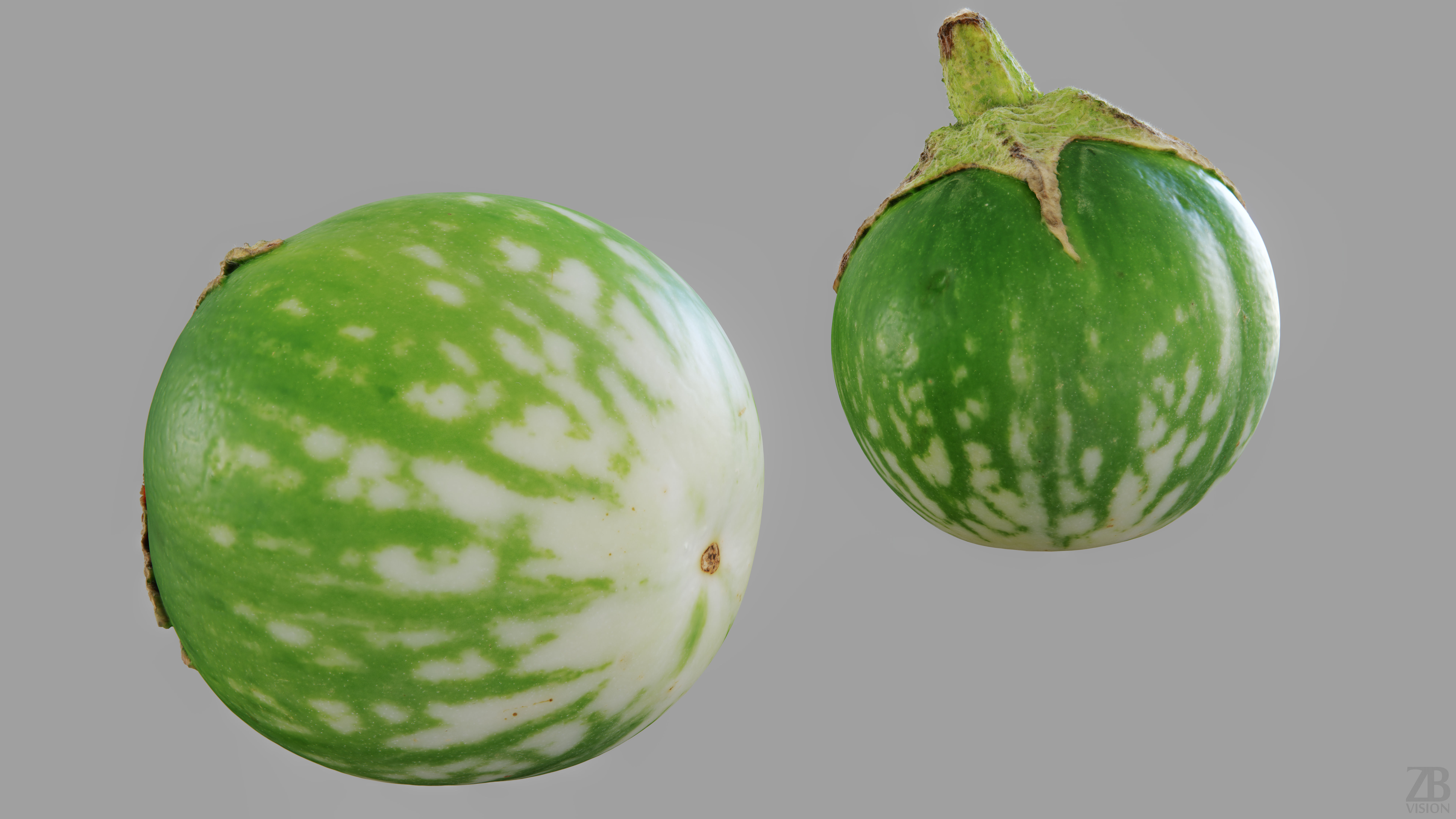 Eggplant 3D model_12