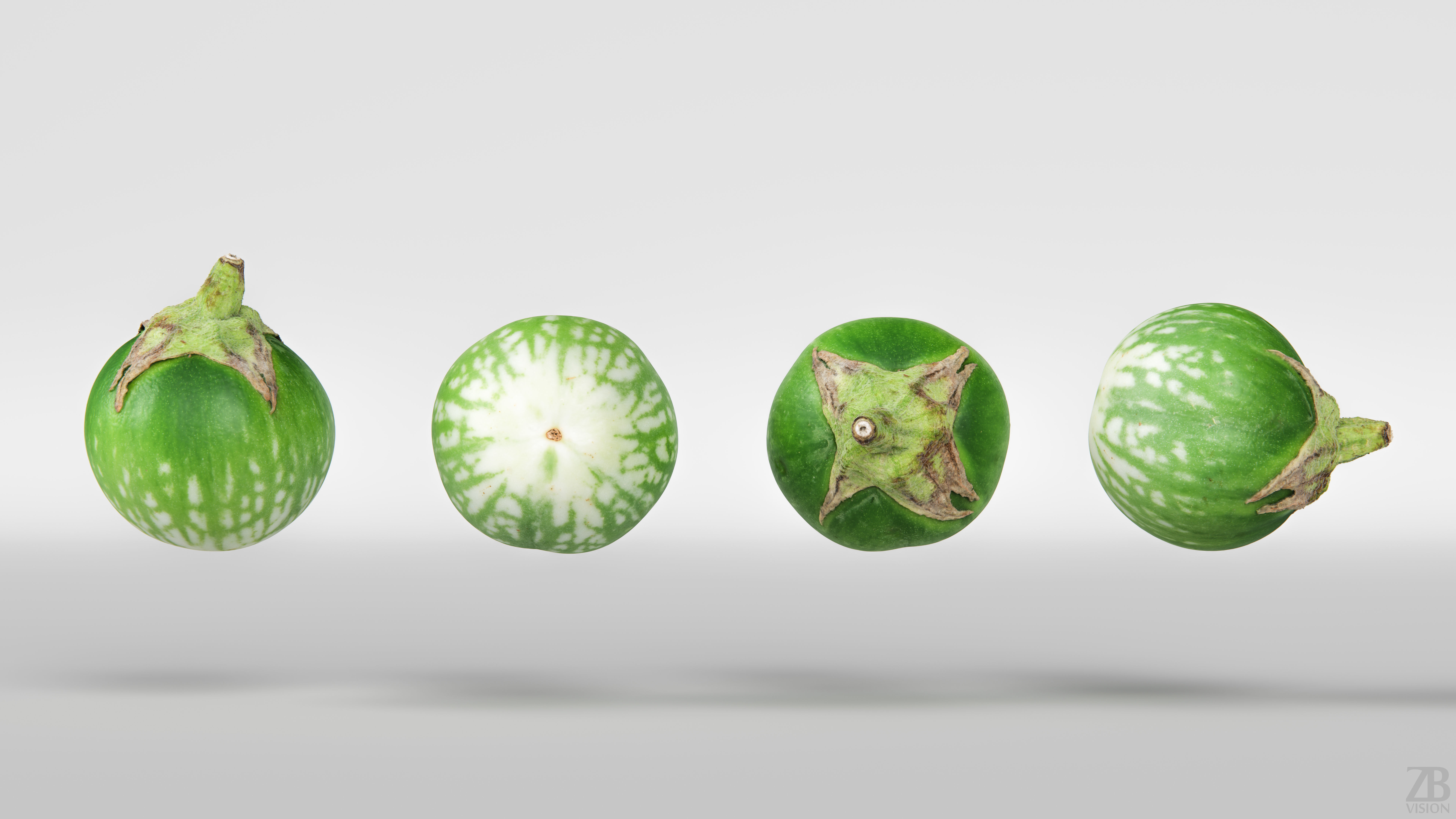 Eggplant 3D model_4