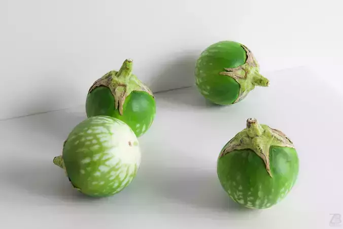 Eggplant 3D model