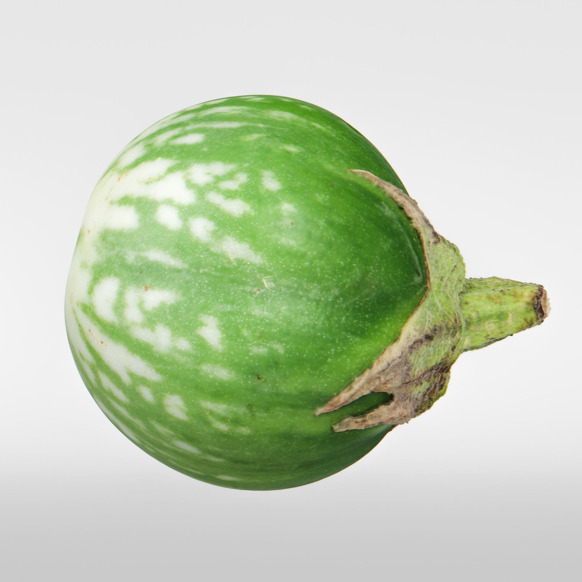Eggplant 3D model_8
