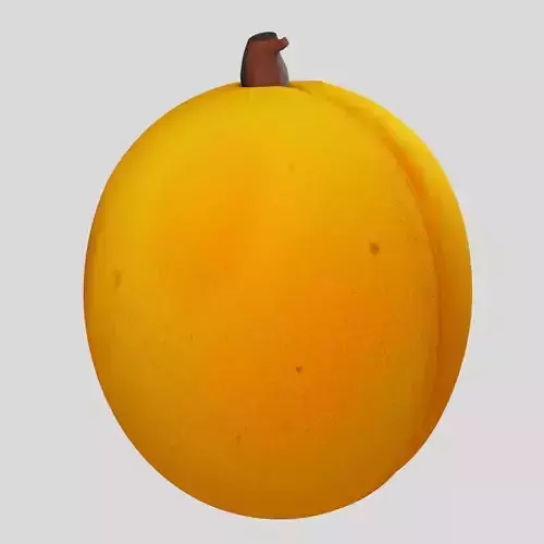 Apricot fruit
