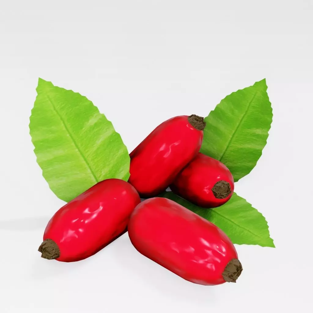 Barberry fruit 3D model