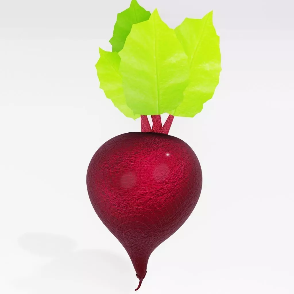 Beetroot vegetable 3D model_0