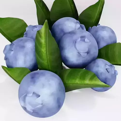 Blueberries