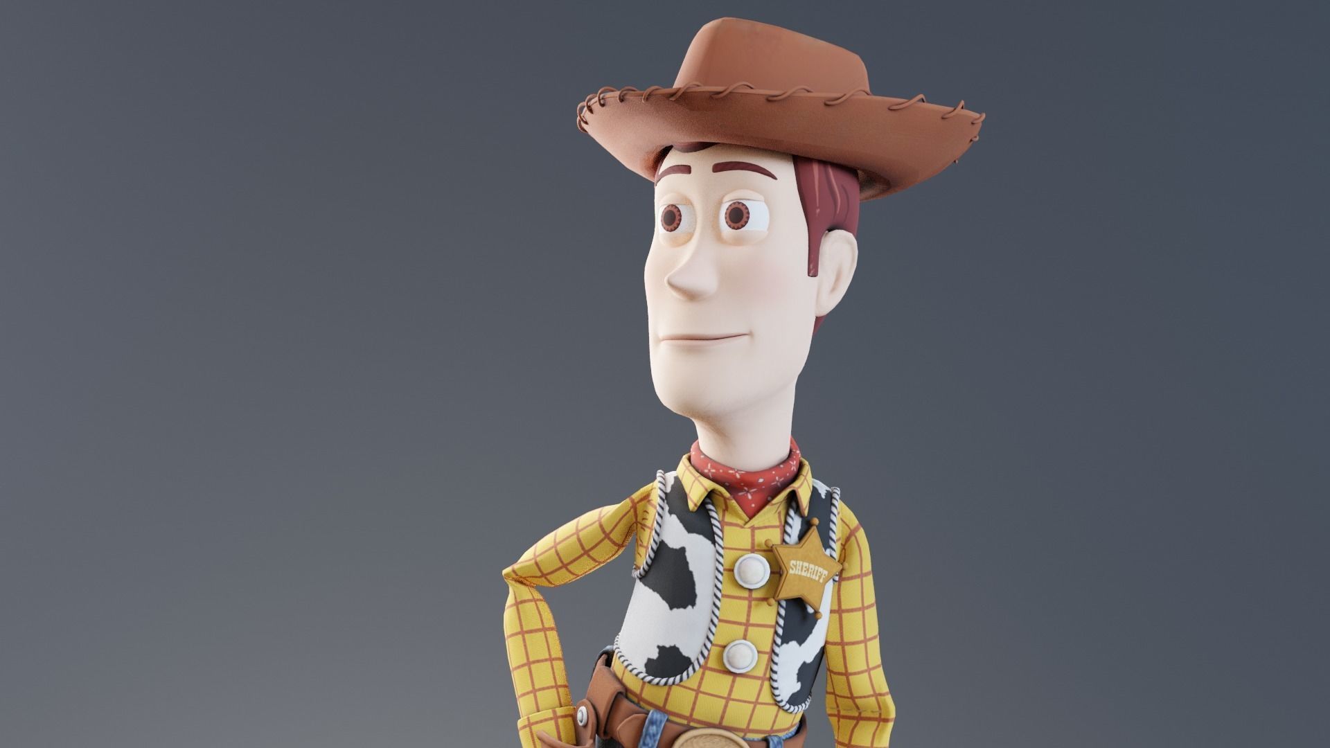 Toy story - Woody rigged 3D model_8