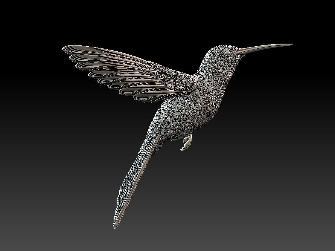 colibri humming bird  3D print model_2