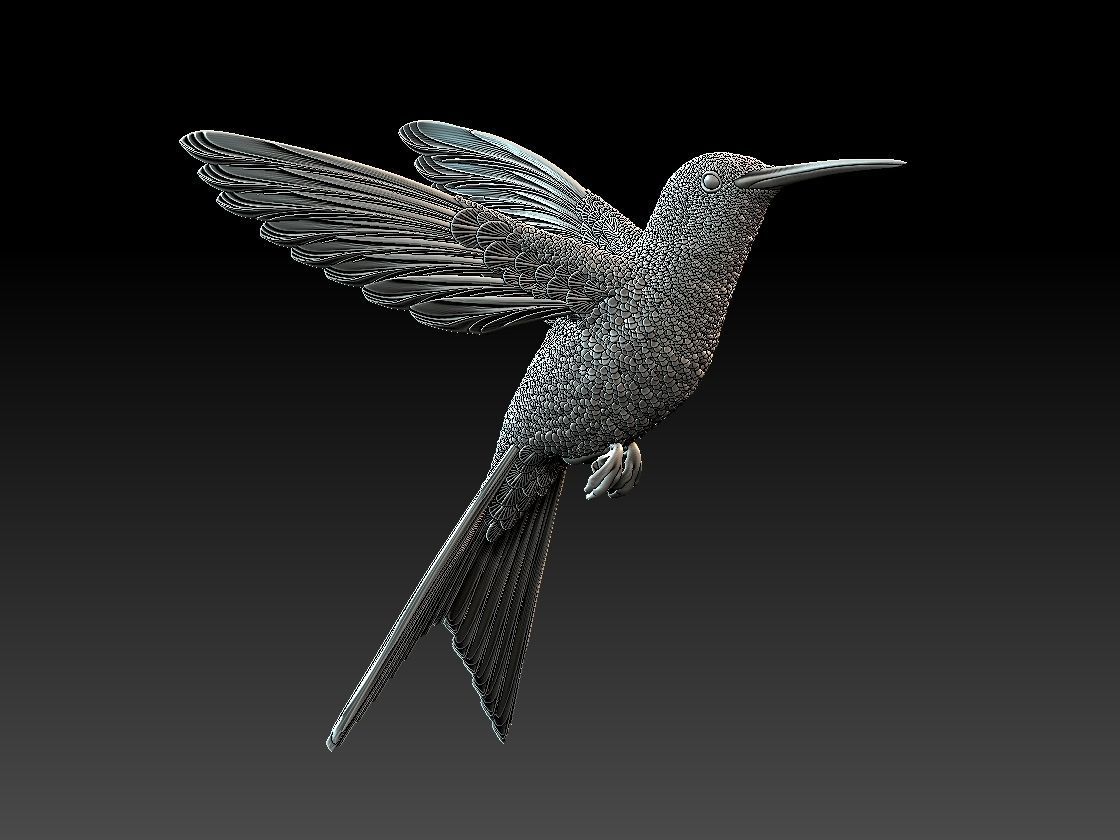 colibri humming bird  3D print model_8