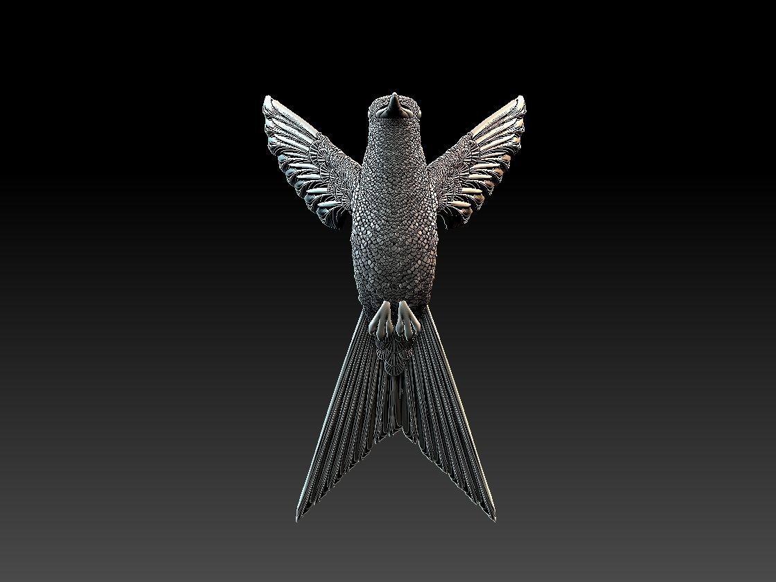 colibri humming bird  3D print model_12