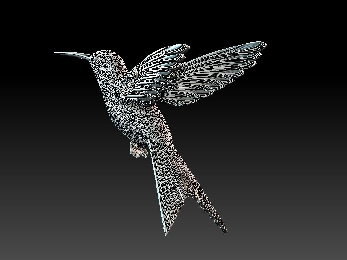 colibri humming bird  3D print model_11