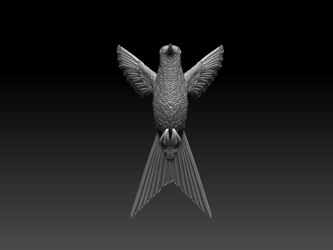 colibri humming bird  3D print model_5