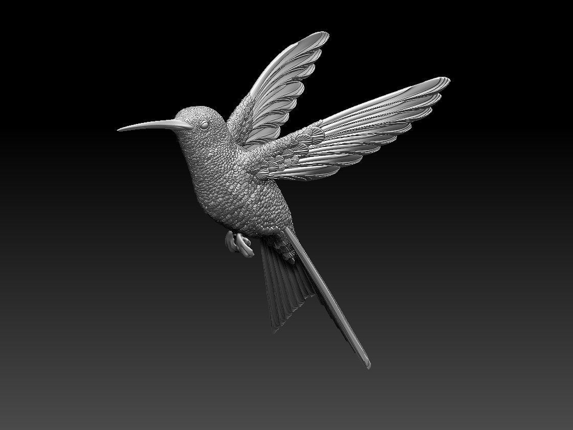 colibri humming bird  3D print model_10