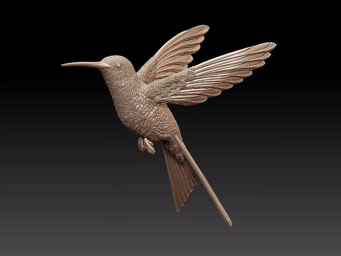 hummingbird 3D print model