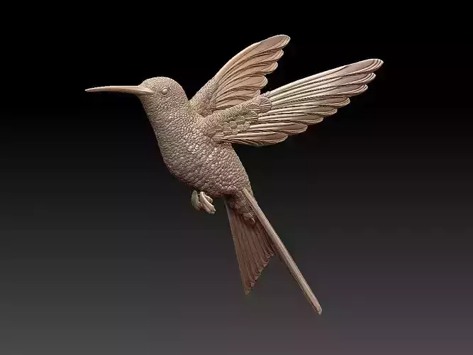 colibri humming bird  3D print model