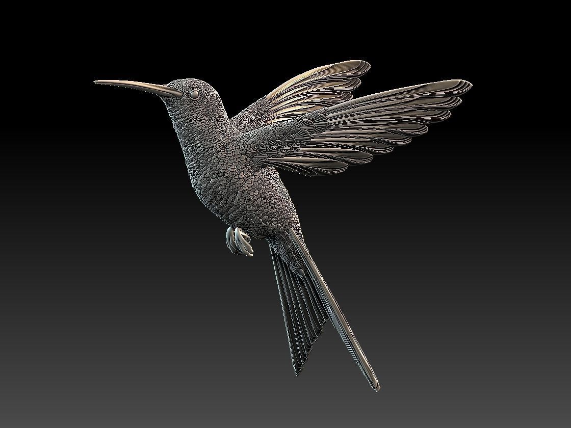 colibri humming bird  3D print model_3