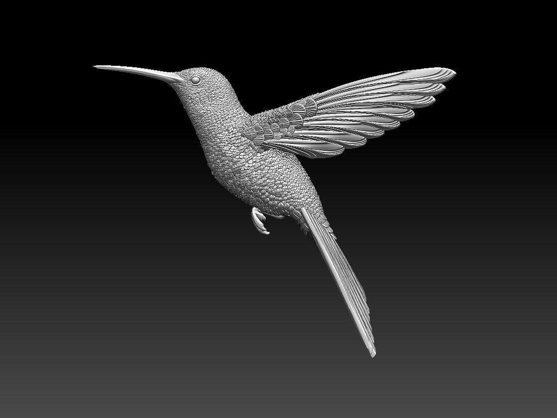 colibri humming bird  3D print model_6