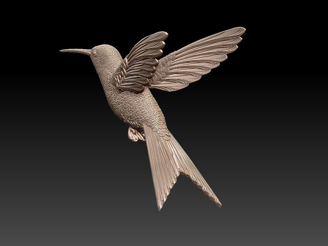 colibri humming bird  3D print model_1