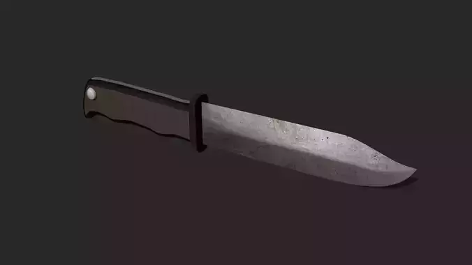Hunting Knife 