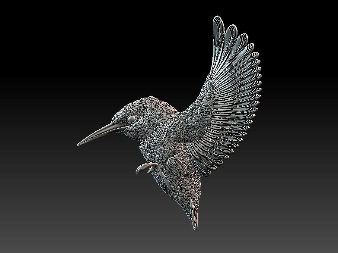 Kingfisher hummingbird 3D print model_1