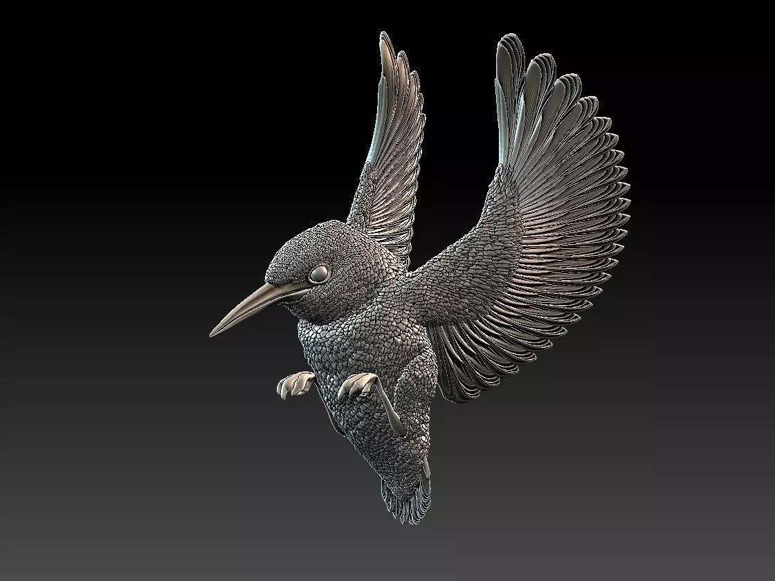 Kingfisher hummingbird 3D print model_0