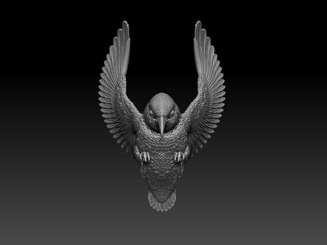 Kingfisher hummingbird 3D print model_6