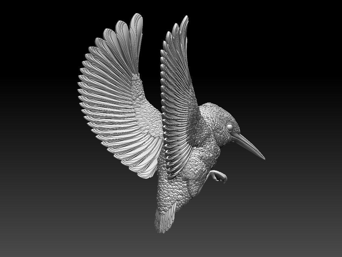 Kingfisher hummingbird 3D print model_8