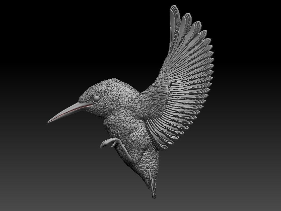 Kingfisher hummingbird 3D print model_5