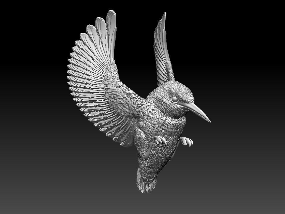 Kingfisher hummingbird 3D print model_3