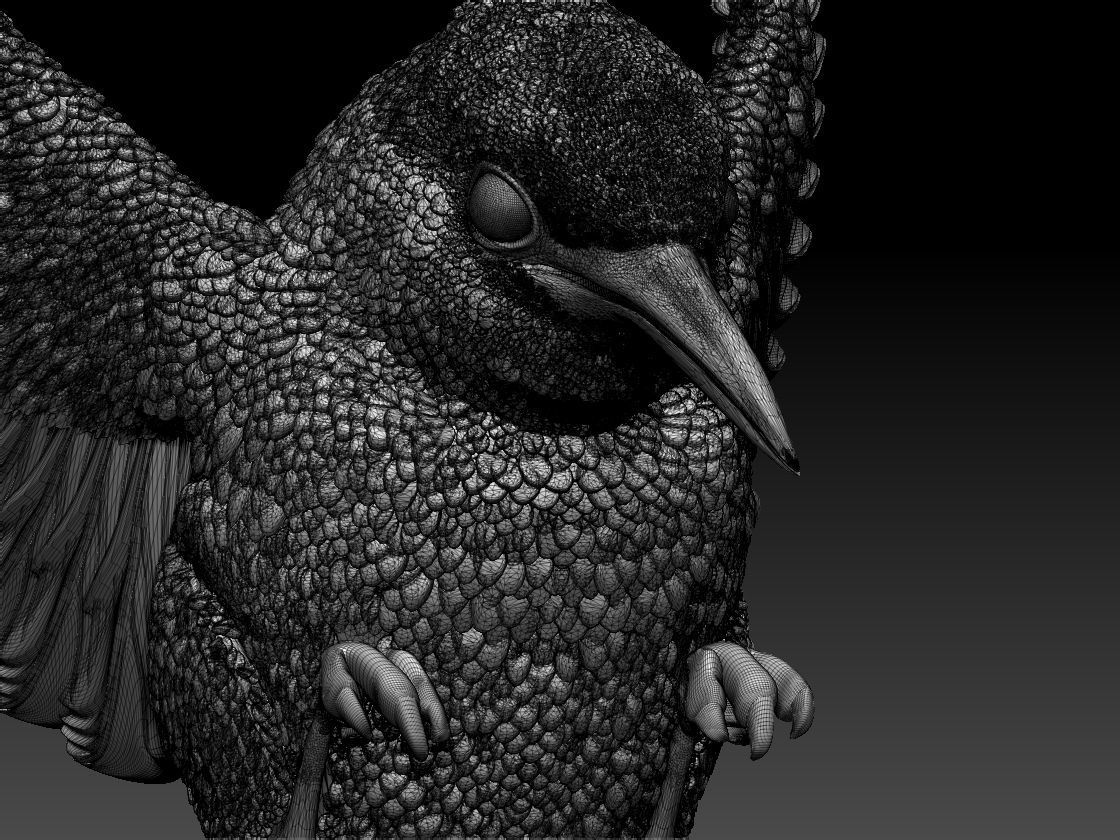 Kingfisher hummingbird 3D print model_9