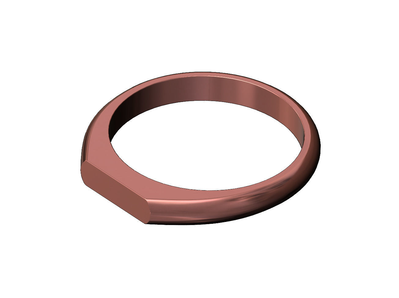 Simple thin rectangular slot signet ring US sizes 5to9 3D print model_10