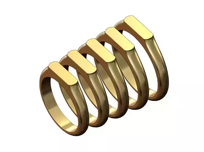 Thin platform rectangular signet ring US sizes 5to9