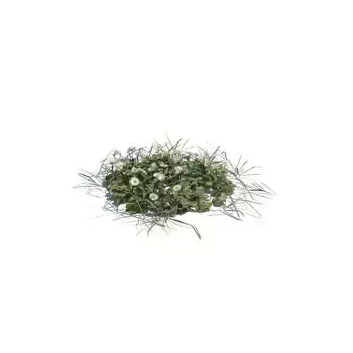 Grass And Wildflowers 3D model