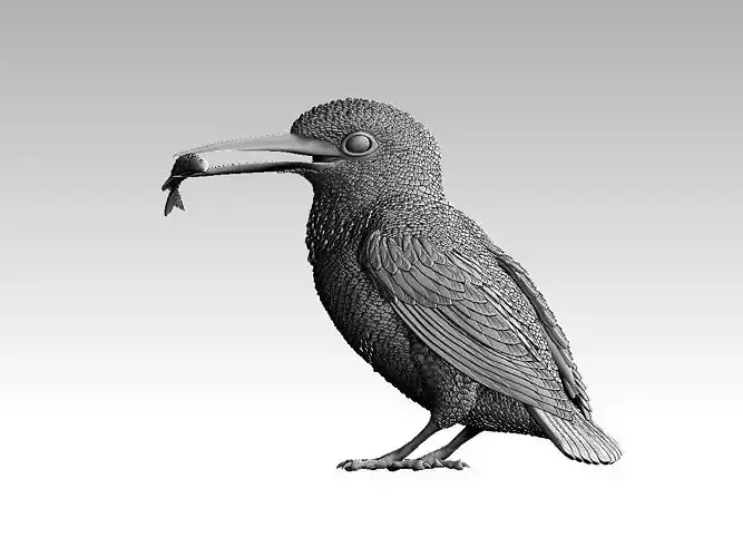 Kingfisher kiwi bird