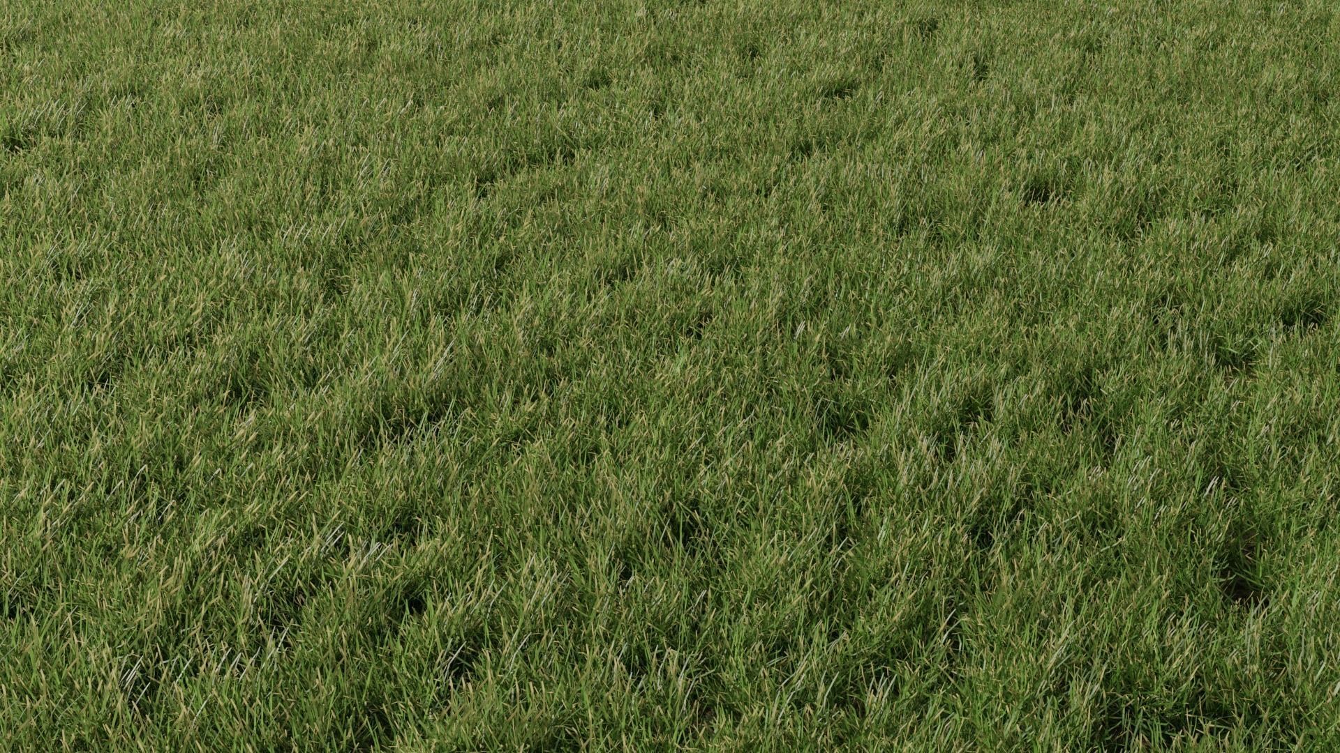 Realistic Nature assets pack  Low-poly 3D model_4