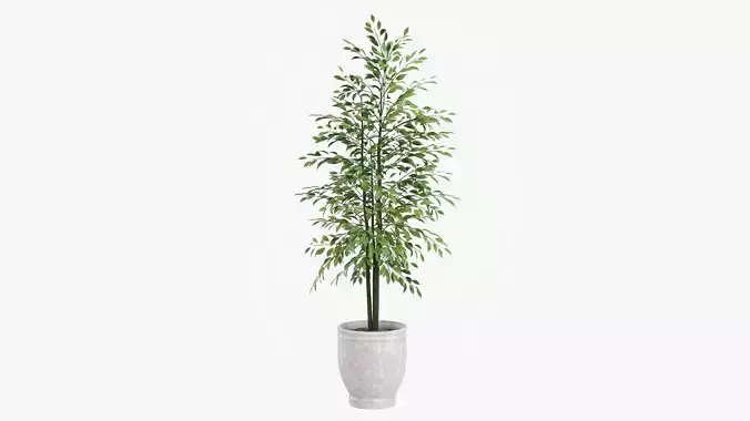 Decorative potted tree 02