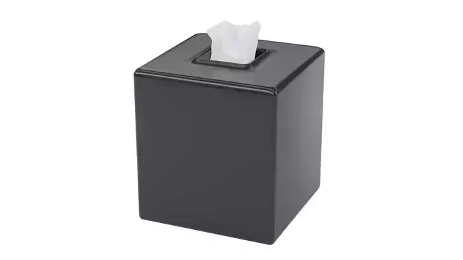 Tissue Box 3D model