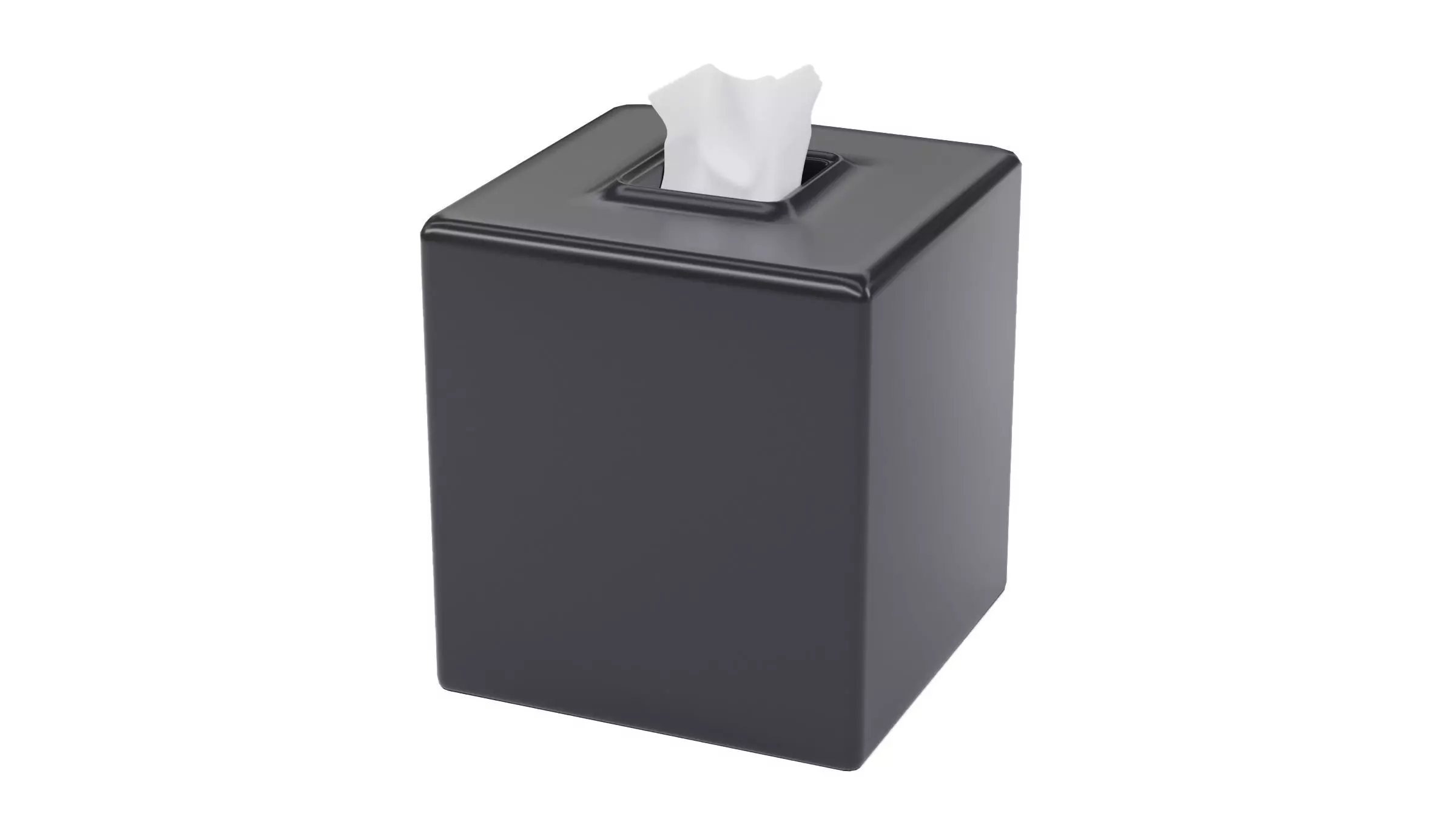 Tissue Box 3D model_0