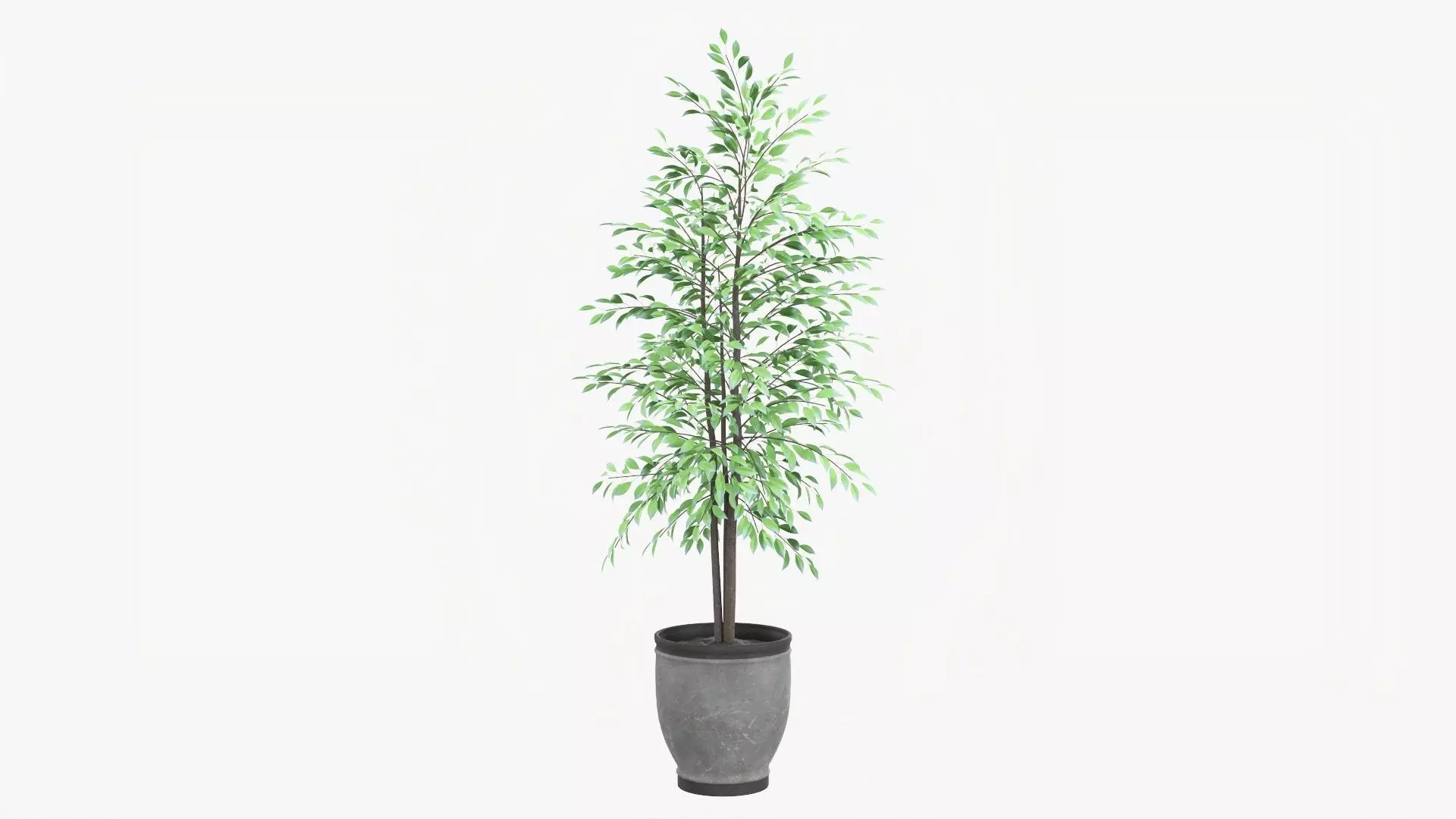 Decorative potted tree 02v2 3D model_0