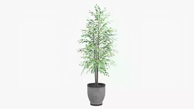 Decorative potted tree 02v2