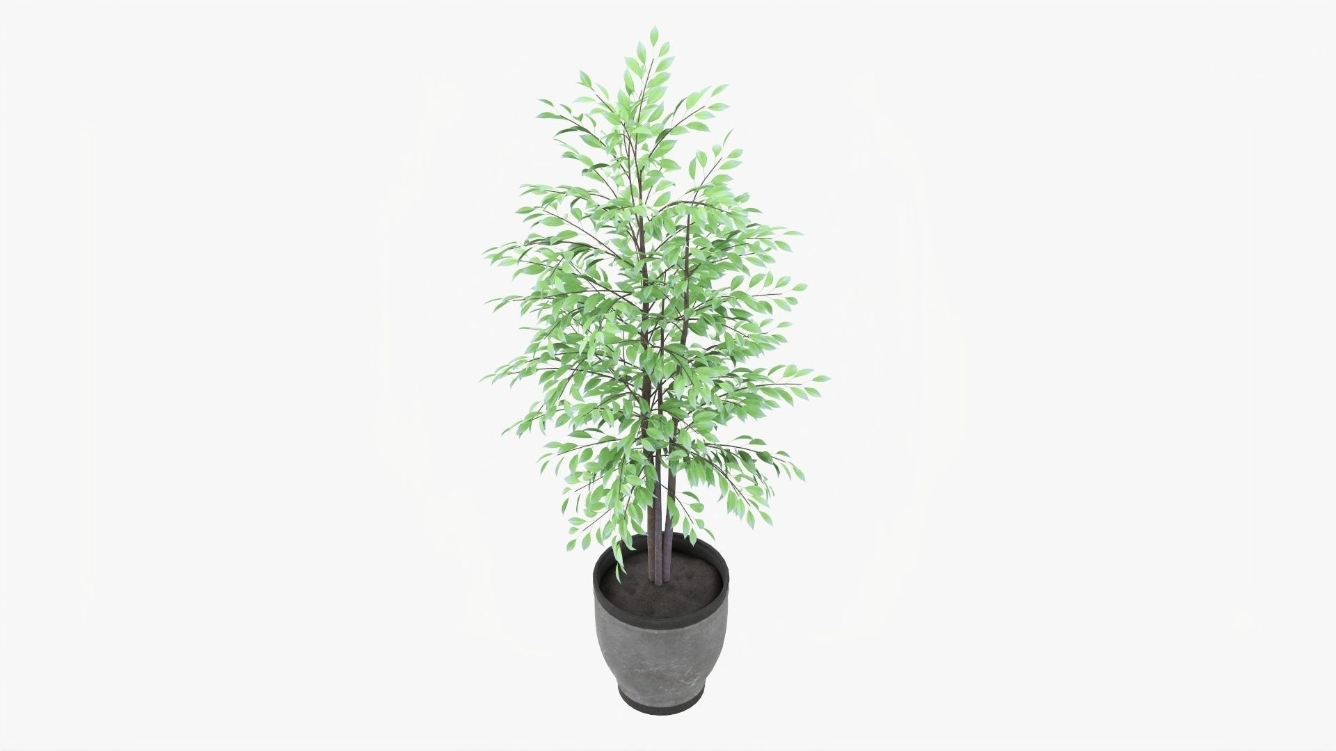 Decorative potted tree 02v2 3D model_1